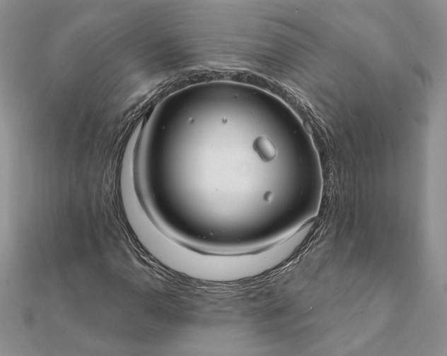 X0000112061110200908181152