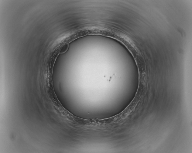 X0000112061111200908181152