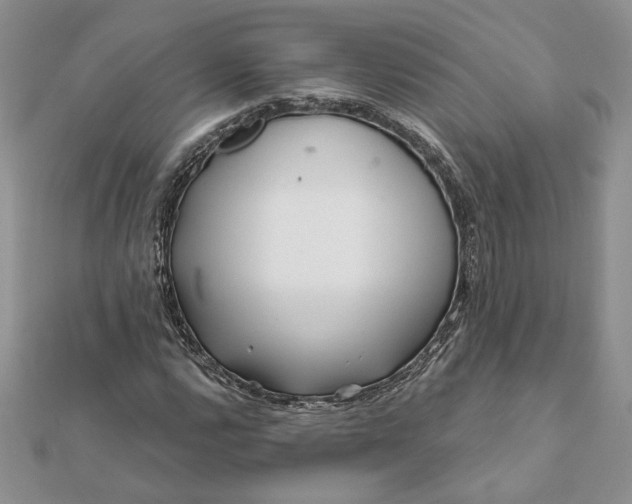 X0000112061112200908181152