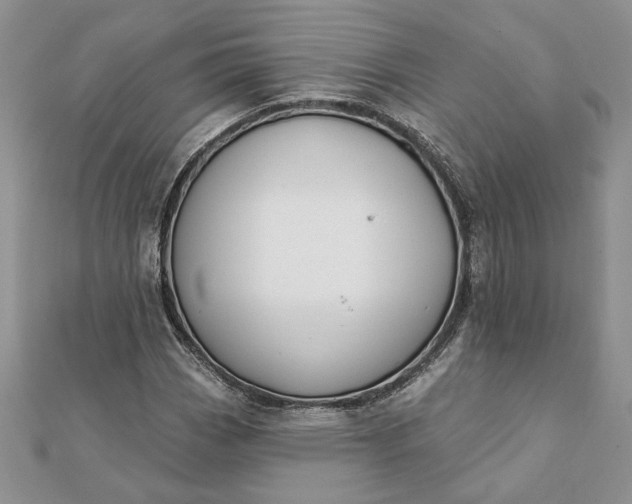 X0000112061113200908181152