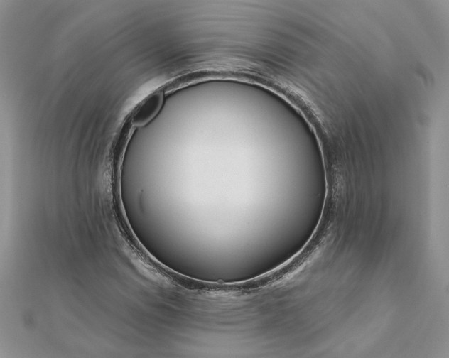 X0000112061114200908181152