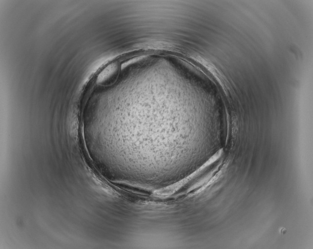 X0000112061115200908181152