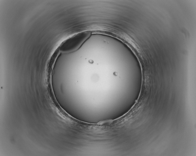 X0000112061116200908181152