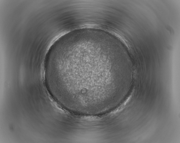 X0000112061117200908181152