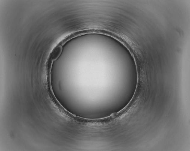 X0000112061118200908181152