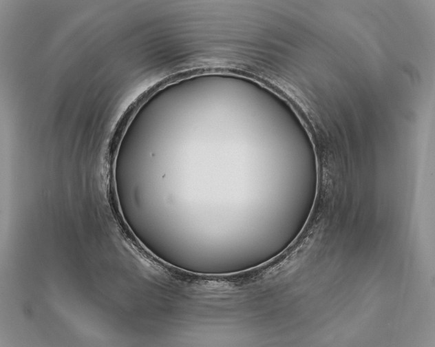 X0000112061119200908181152