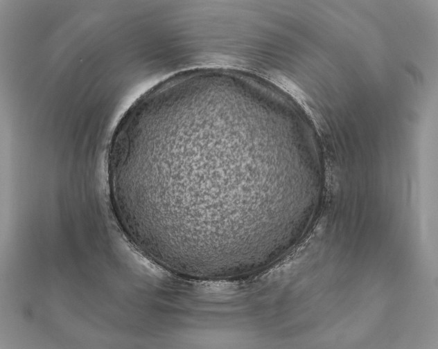 X0000112061120200908181152