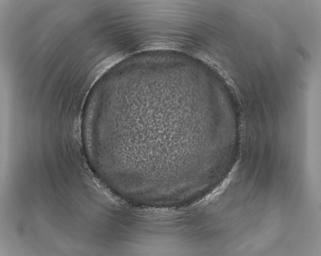 X0000112061121200908181152