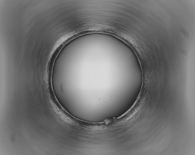 X0000112061122200908181152