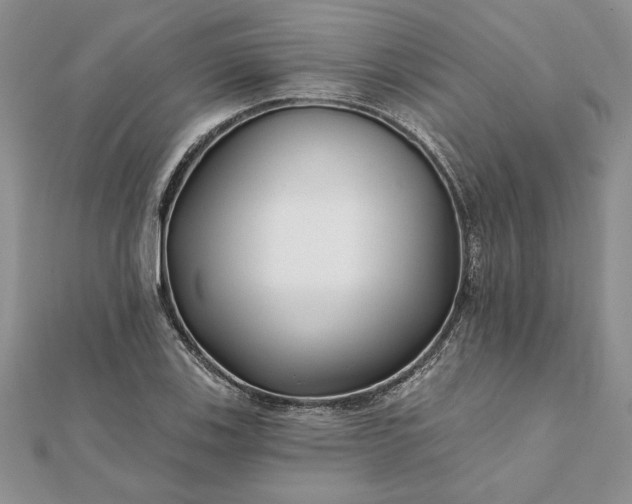 X0000112061123200908181152