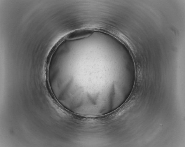 X0000112061124200908181152