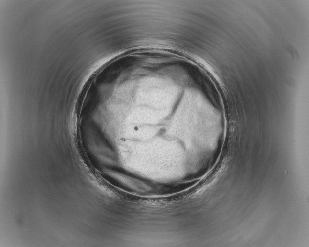 X0000112061125200908181152