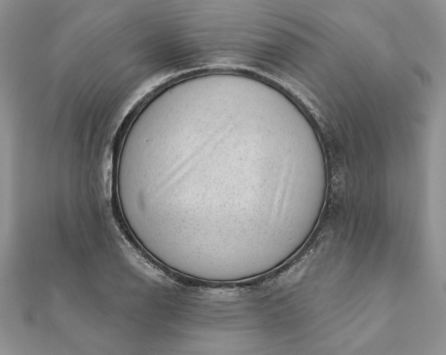 X0000112061126200908181152