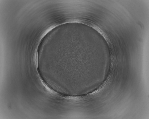 X0000112061127200908181152