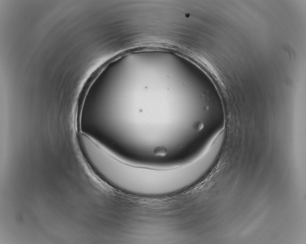 X0000112061128200908181152