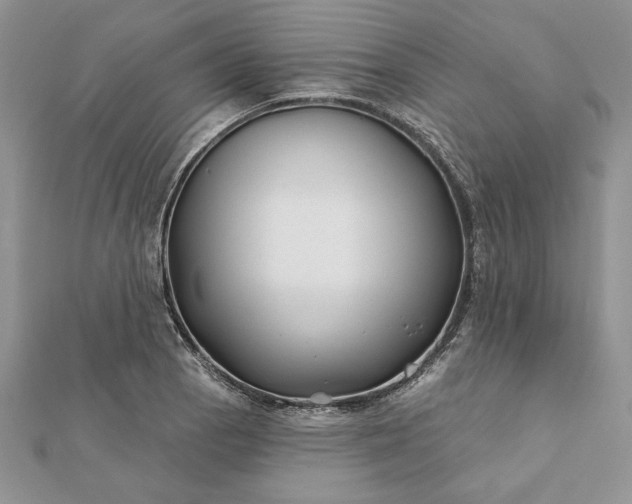 X0000112061129200908181152