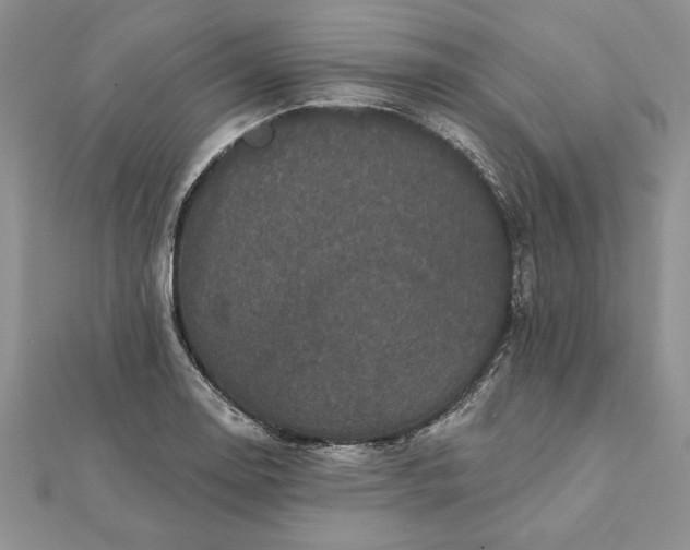 X0000112061130200908181152