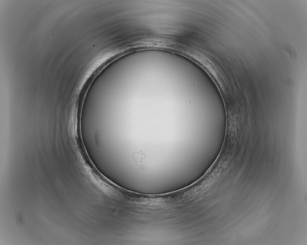 X0000112061131200908181152