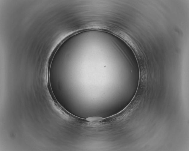 X0000112061132200908181152