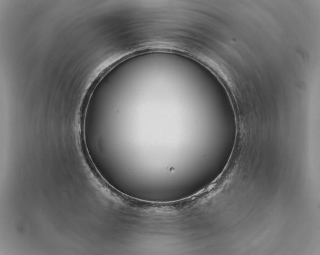 X0000112061133200908181152