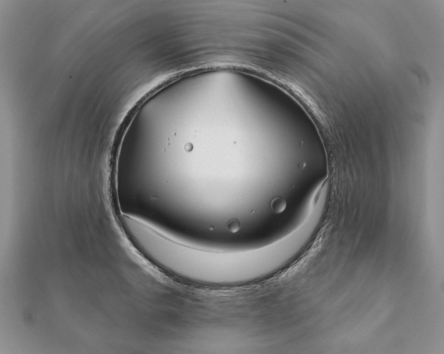 X0000112061134200908181152