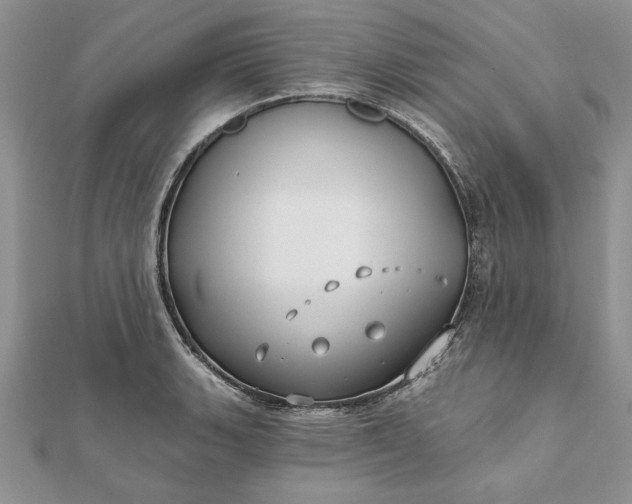 X0000112061135200908181152