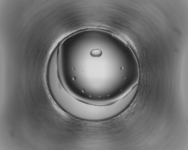 X0000112061136200908181152