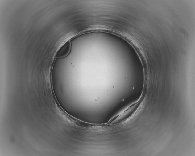 X0000112061137200908181152