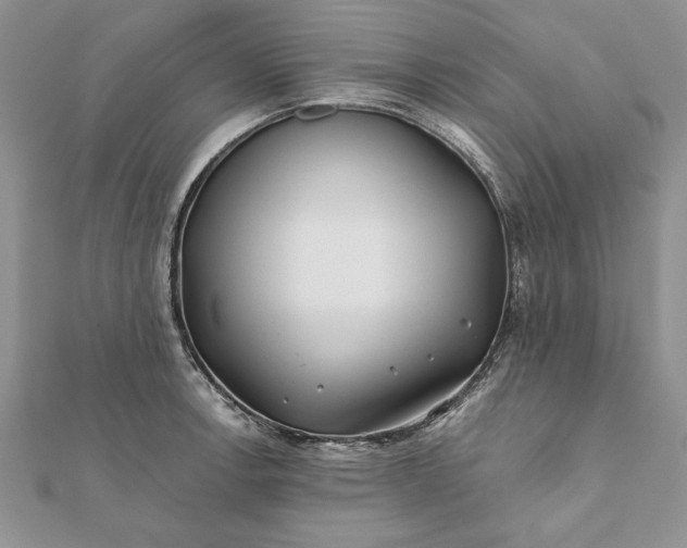 X0000112061138200908181152