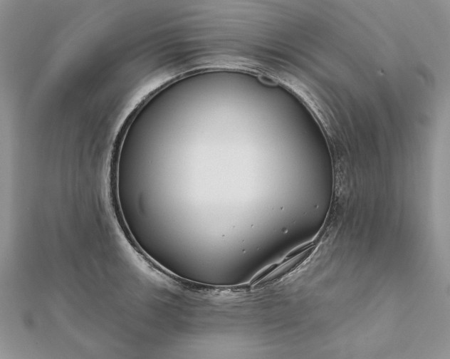 X0000112061139200908181152