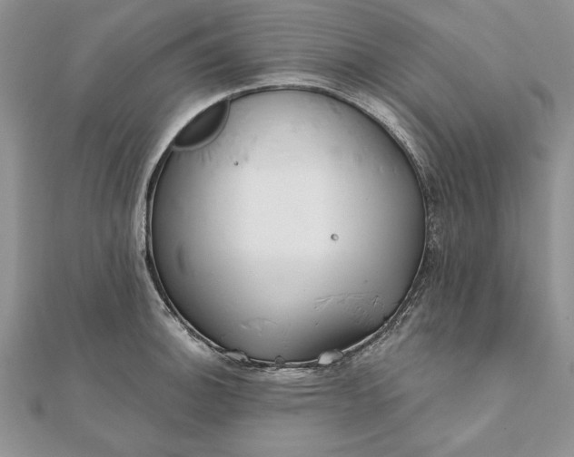 X0000112061140200908181152