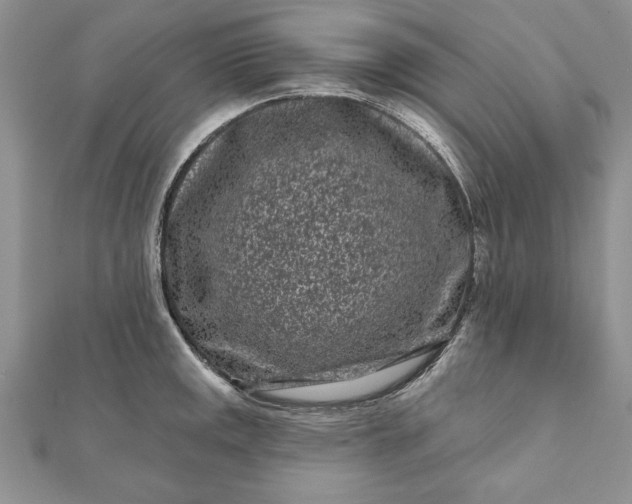 X0000112061141200908181152