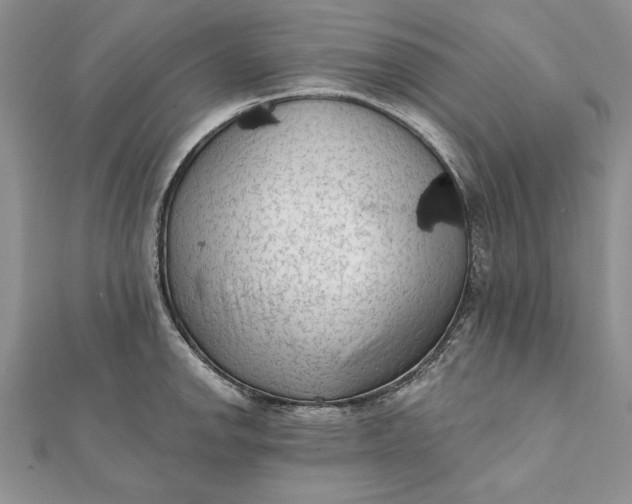 X0000112061142200908181152