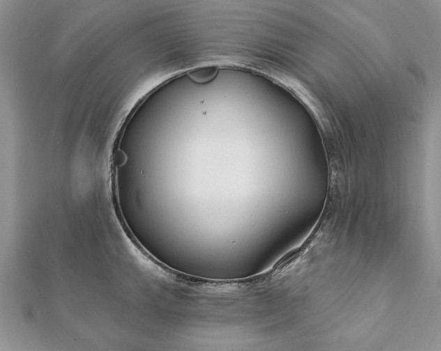 X0000112061143200908181152