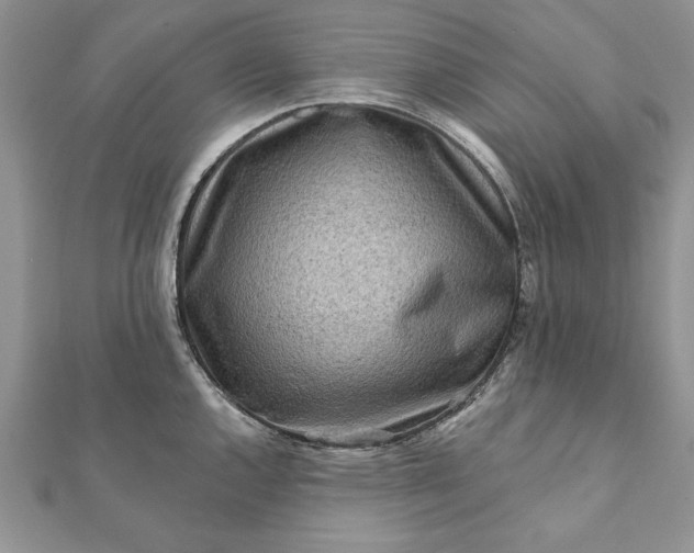 X0000112061144200908181152