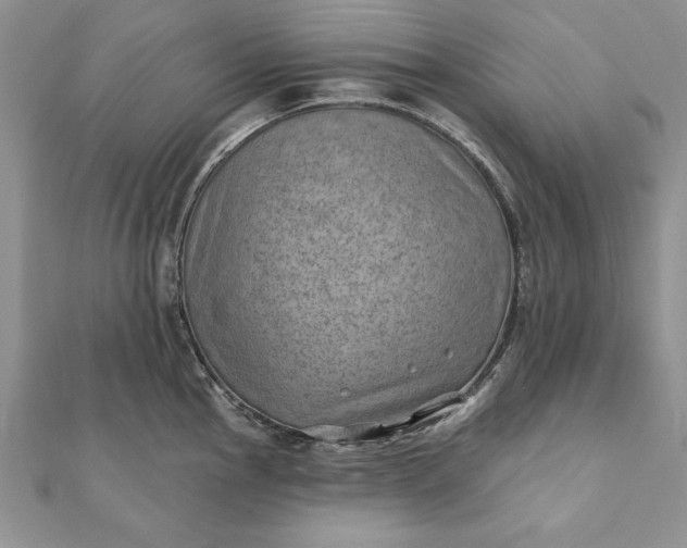 X0000112061145200908181152