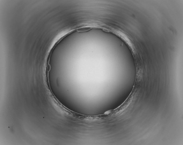 X0000112061146200908181152