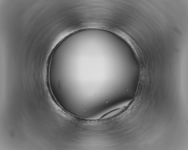 X0000112061147200908181152