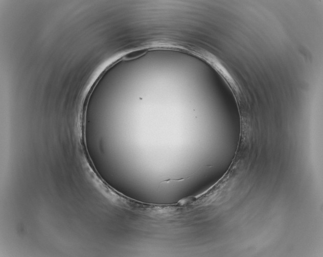 X0000112061148200908181152