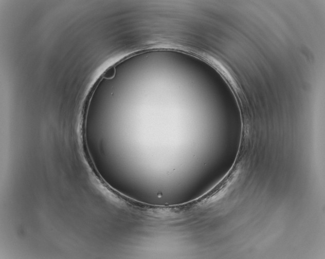 X0000112061149200908181152