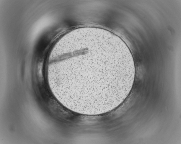 X0000112061150200908181152