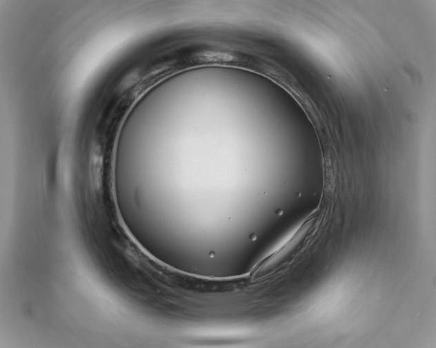 X0000112061151200908181152