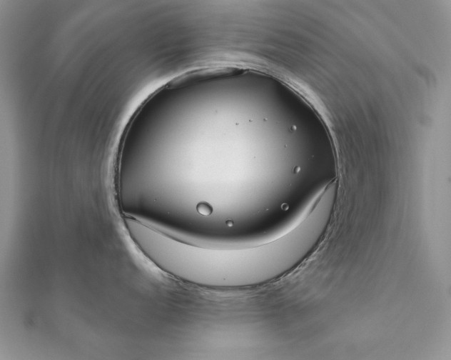 X0000112061152200908181152