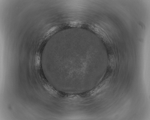 X0000112061154200908181152