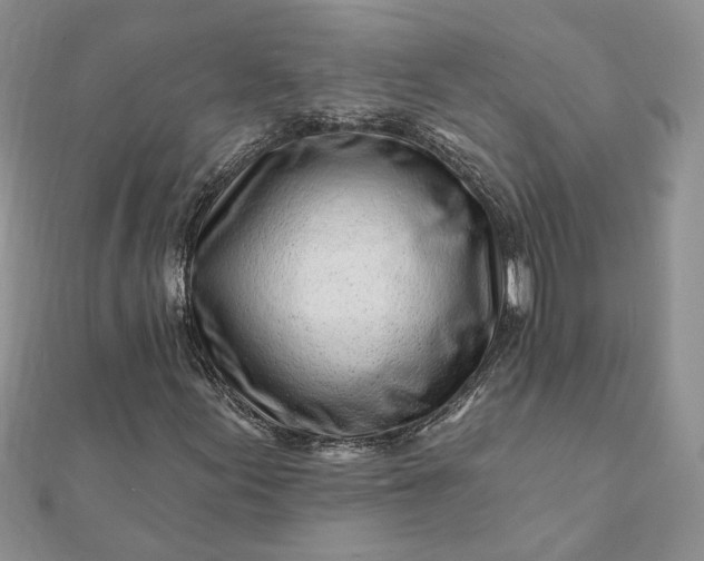 X0000112061155200908181151