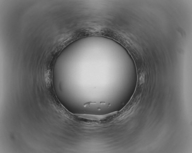 X0000112061156200908181151