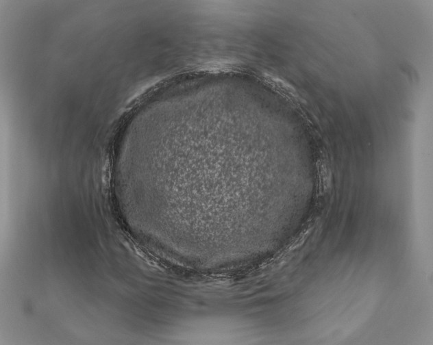 X0000112061158200908181151