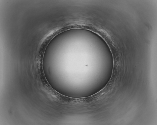 X0000112061159200908181151