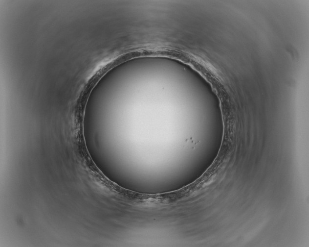 X0000112061160200908181151