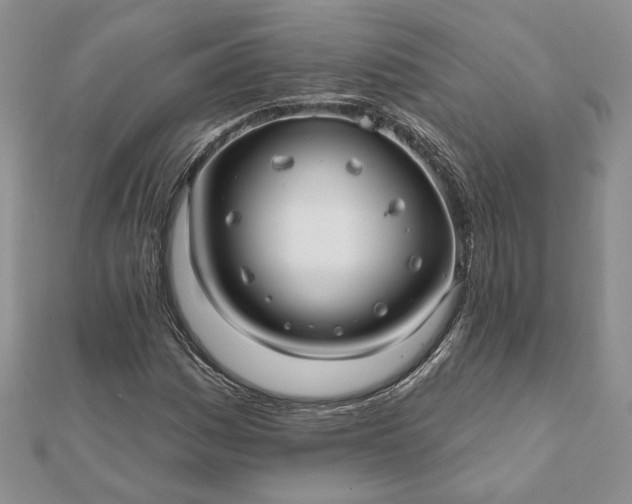 X0000112061161200908181151